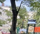 Продать Квартиры вторичка Кронштадт, Красная улица, 8к2   