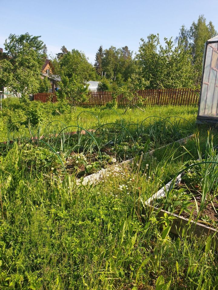 Продажа дома Севкабель СНТ, улица Комсомольская,  д. 34