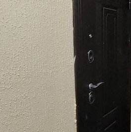 Продажа 1-комн квартиры на вторичном рынке пос. Шушары, Московское шоссе, 268 Продажа 1-комн квартиры на вторичном рынке пос. Шушары, Московское шоссе, 268