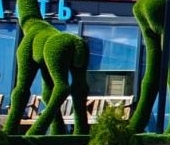 Продать Земельные участки, земля Ванино ЖК, д. Узигонты   