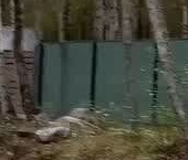 Продать Земельные участки, земля д. Васильево, улица Лыжная   