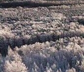Сдать в аренду Квартиры вторичка набережная Реки Каменки, 15к1   