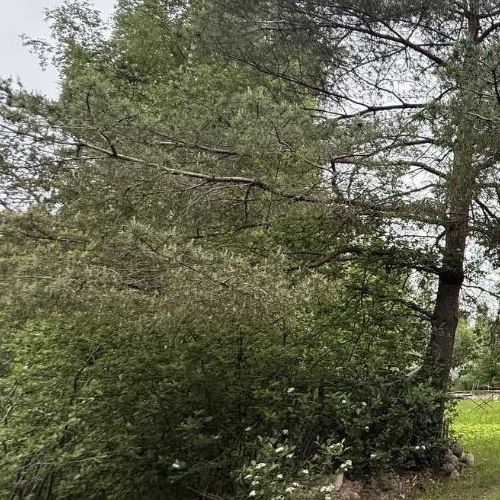 Коттедж/дом Оснички СНТ, улица 9-я лесная