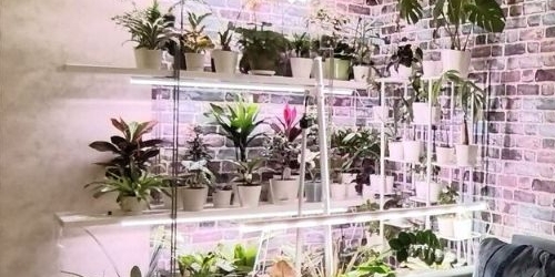 4-комн квартира Коломяжский проспект, 15к2