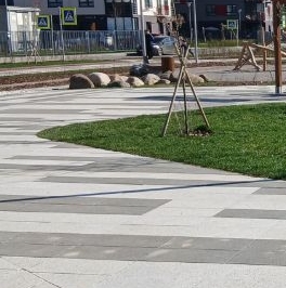 Продажа 2-комн квартиры на вторичном рынке пос. Янино-1, улица Оранжевая, 5к1 Продажа 2-комн квартиры на вторичном рынке пос. Янино-1, улица Оранжевая, 5к1