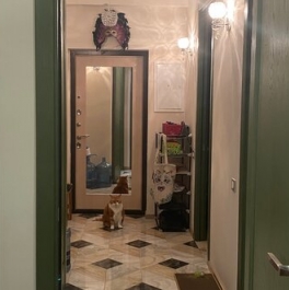 Продажа 2-комн квартиры на вторичном рынке Балаклавский пр-кт,  д. 16