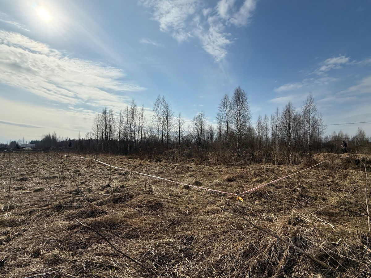 Продажа земли Корневские Гривки ТСН, 7-я линия