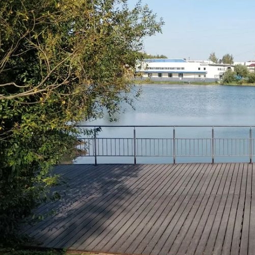 Студия д. Новое Девяткино, улица Лесная, 19