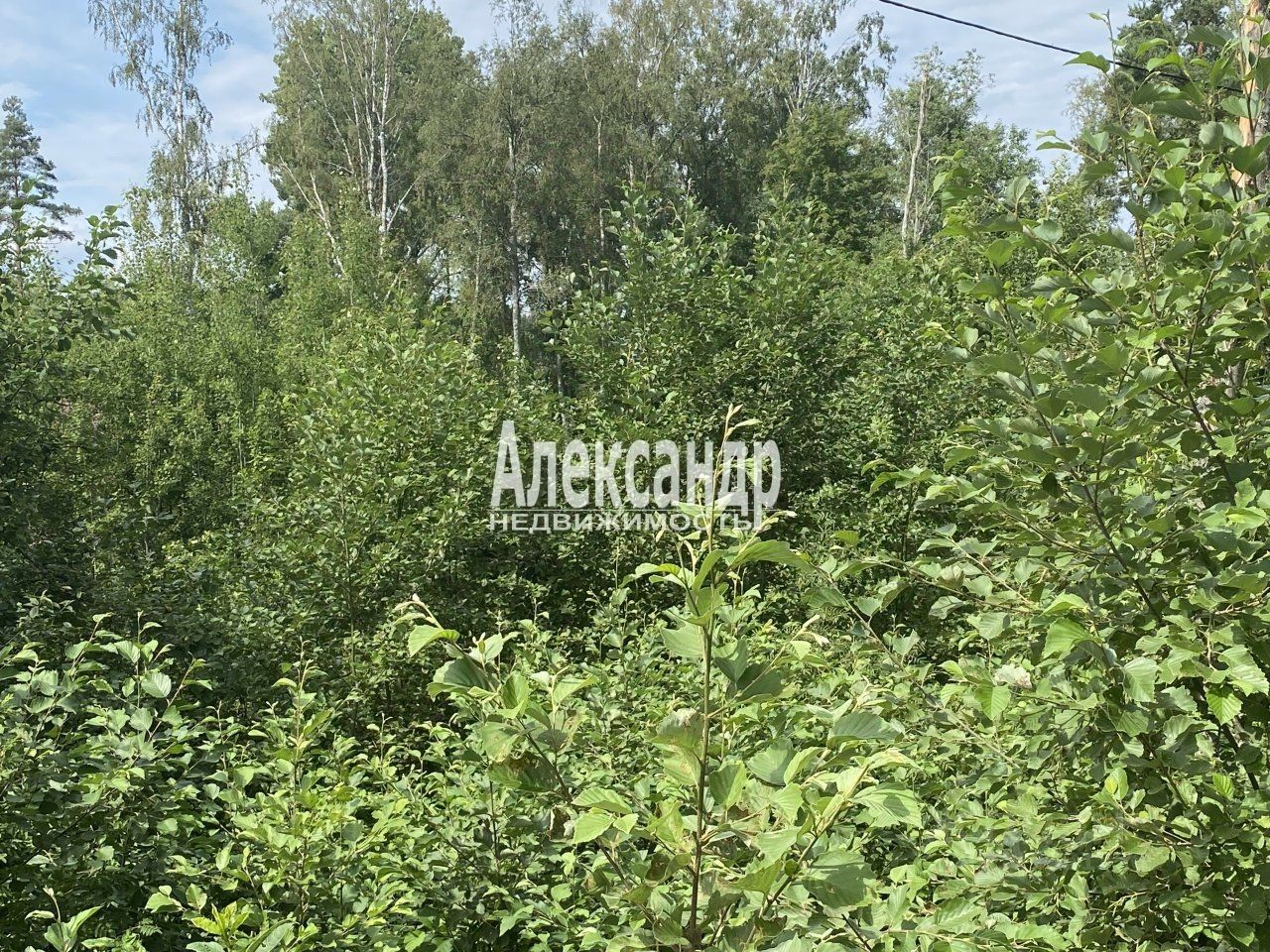 Продажа земли пос. Красное, улица Зеленая