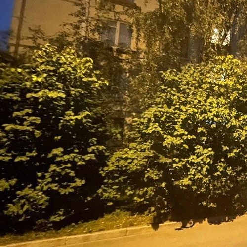 4-комн квартира проспект Стачек, 220К2