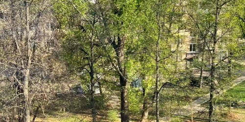 3-комн квартира Бойцовая улица, 17К3