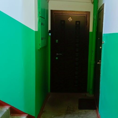 1-комн квартира д. Лесколово, улица Красноборская, 14