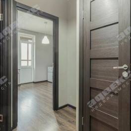 Продажа 1-комн квартиры на вторичном рынке Ветеранов пр-кт,  д. 171 к5