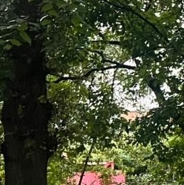 Продажа комнаты Реутов, проспект Мира, 55