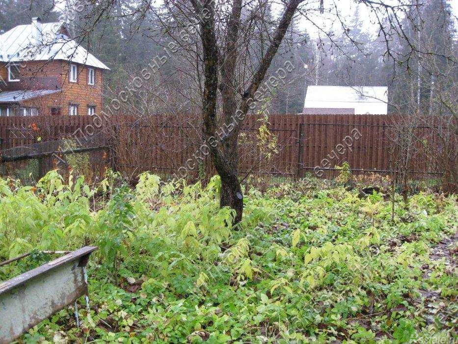 Продажа земли Анашкино деревня,