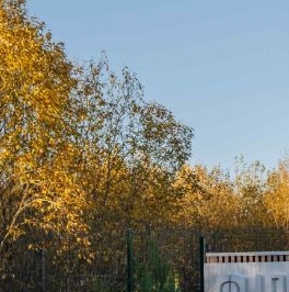Продажа земли Прилесный Стиль кп,  д. 76