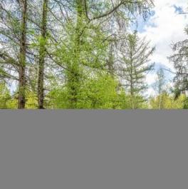 Продажа 3-комн квартиры на вторичном рынке Рассказовка д,  д. 8