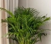 Продать Квартиры вторичка Винницкая улица, 8к3   