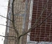 Продать Квартиры вторичка Кировск, Молодежная улица, 7к1   