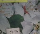 Сдать в аренду Квартиры вторичка Люберцы, улица Юности, 9   