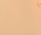 Сдать в аренду Квартиры вторичка Парковый мкр, Котельники, 1к20   