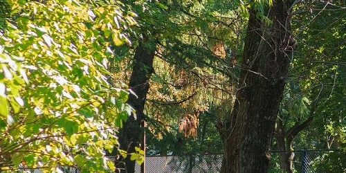 1-комн квартира Кантемировская улица, 13