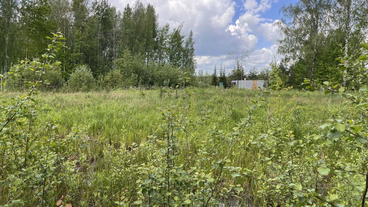 Продажа земли Славянка садовое товарищество, Апраксин СНТ, 4-я линия, 15