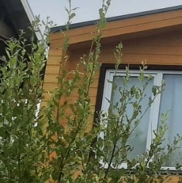 Продажа дома Екатериновка массив, 138 Продажа дома Екатериновка массив, 138