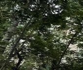 Продать Квартиры вторичка Мытищи, улица Щербакова, 2   