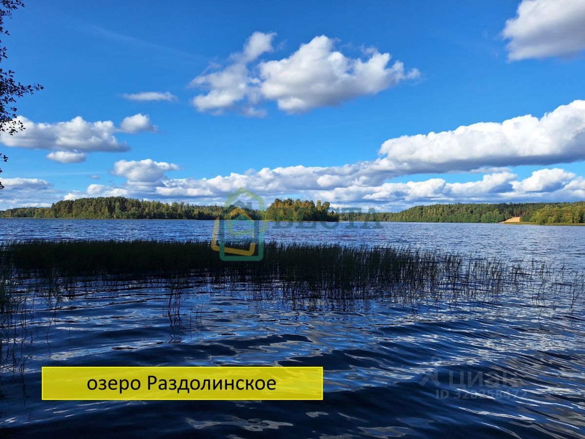 Продажа земли пос. Сосново, улица Озерная, 28В