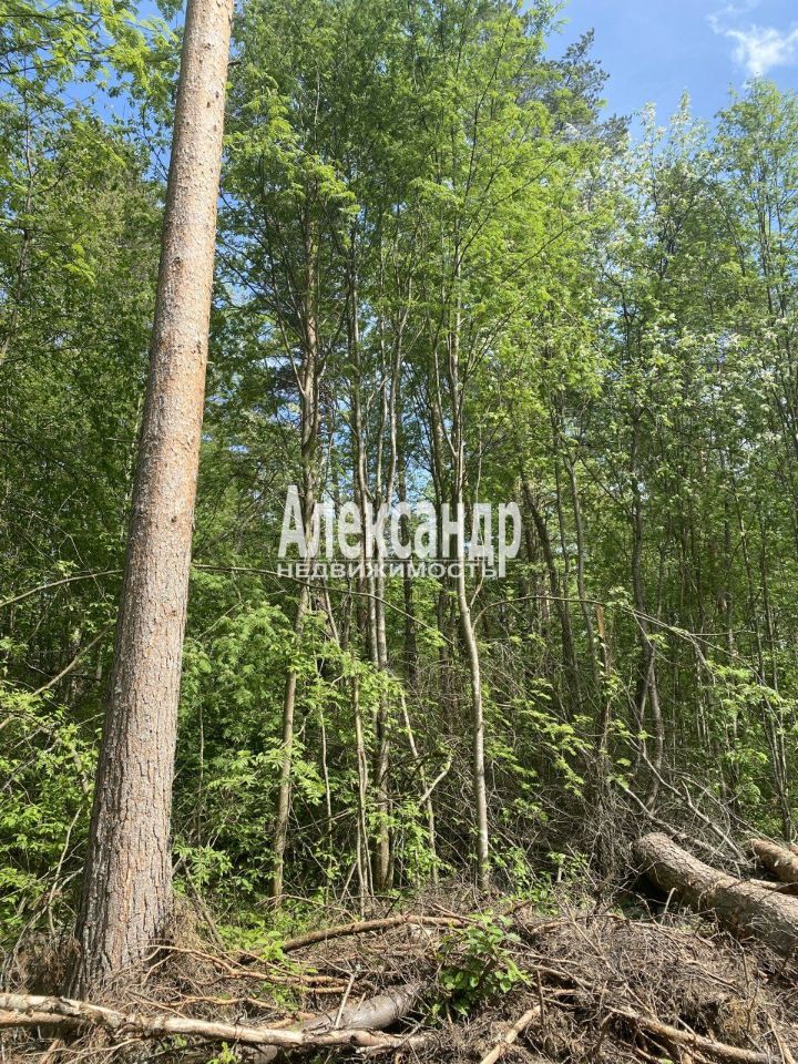 Продажа земли Снетково кп, пос. Ларионово