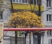 Продать Квартиры вторичка Химки, улица Маяковского, 14   