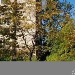 Продажа 1-комн квартиры на вторичном рынке Гудиловская (Усть-Славянка тер.) ул,  д. 5 к1