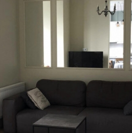 Аренда 1-комн квартиры на вторичном рынке улица Фабрициуса,  д. 18