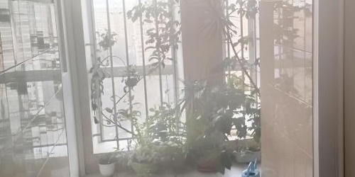 1-комн квартира 15-я Парковая улица, 41К2