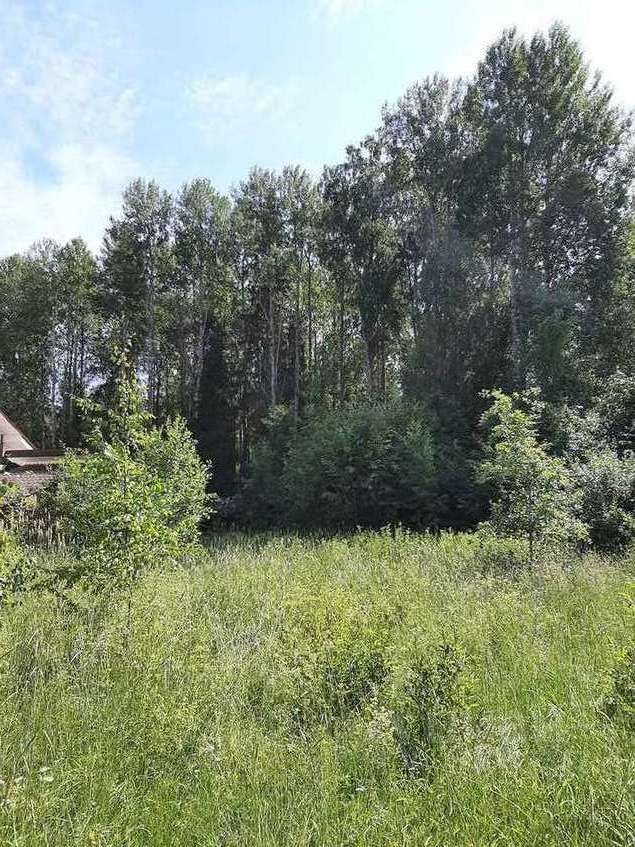 Продажа земли Забава СНТ,  д. 92