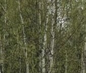 Продать Дачи, коттеджи, загородные дома Блокадник СНТ, проезд 2-й Заречный   