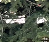 Продать Квартиры вторичка Подольск, Юбилейная улица, 23   