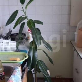 Продажа 3-комн квартиры на вторичном рынке Будапештская улица,  д. 8 к1