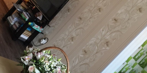 3-комн квартира Металлострой п, Центральная ул ,  д. 14