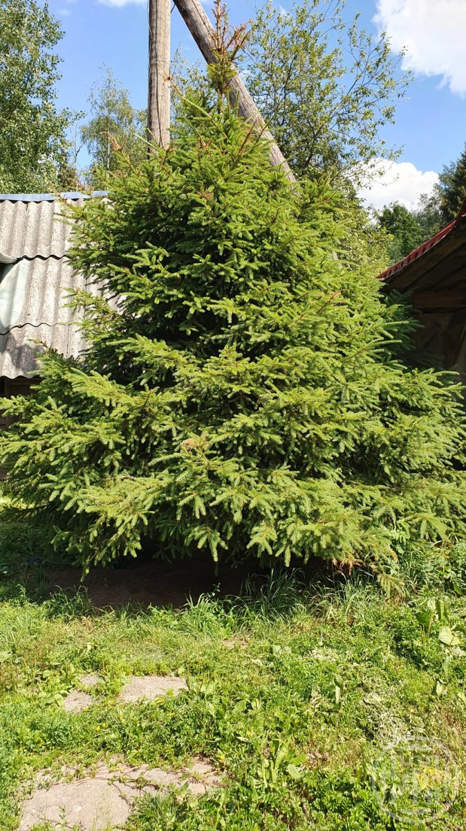 Продажа дома Гостилицы дер., Новая ул. ,  д. 23