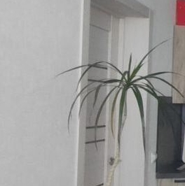 Продажа 1-комн квартиры на вторичном рынке Глухарская улица, 26 Продажа 1-комн квартиры на вторичном рынке Глухарская улица, 26