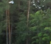 Продать Земельные участки, земля пос. Ленинское, улица Советская, 88   