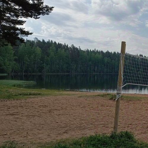 Земельный участок Алмаз СНТ, улица Еловая