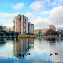 Продажа 1-комн квартиры на вторичном рынке Просвещения пр-кт