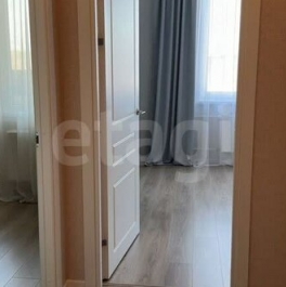 Продажа 1-комн квартиры на вторичном рынке Заневское городское поселение, Ясная улица,  д. 17 к2