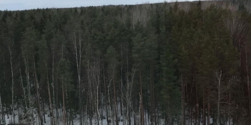 1-комн квартира Ломоносов г., Михайловская ул. ,  д. 51,  к. 3