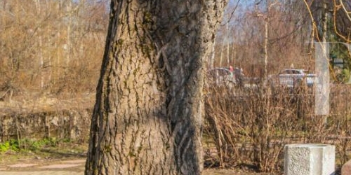 3-комн квартира пос. Лисий Нос, Ивановская улица, 10