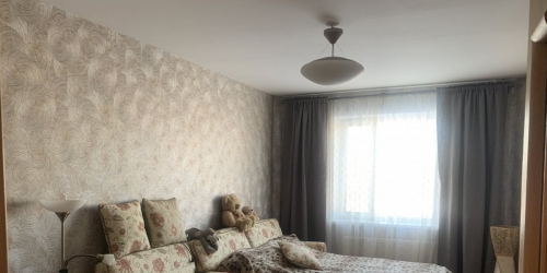 2-комн квартира Всеволожск г., Невская ул. ,  д. 1/2