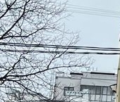 Продать Квартиры вторичка улица Черняховского, 11   